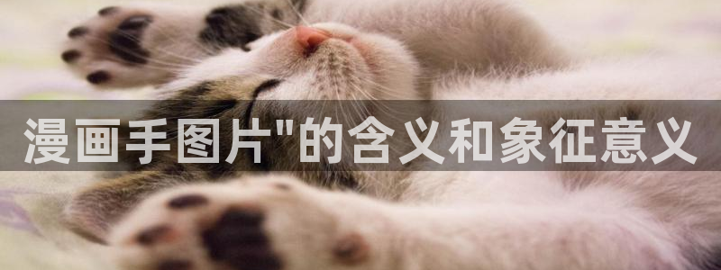 漫蛙漫画官网入口免费阅读：漫画手图片\