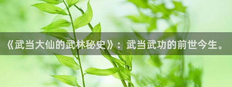 漫蛙漫画腐：《武当大仙的武林秘史》：武当武功的前世今生。