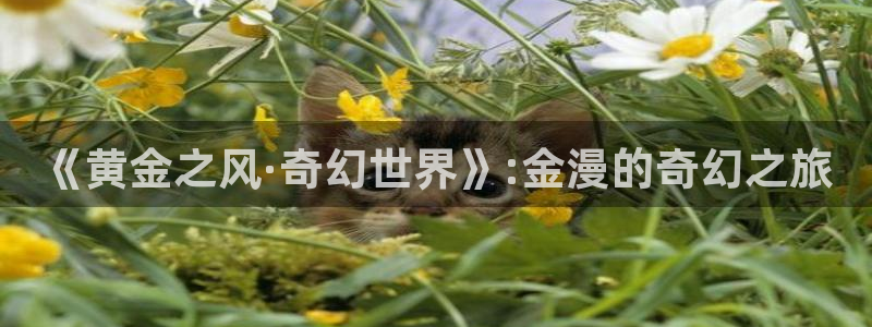 代号阿纳斯塔西娅漫画无删减版免费阅读漫蛙：《黄金之风·奇幻世界》:金漫的奇幻之旅